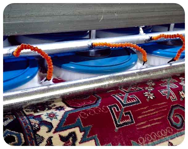 Yeniçiftlik Güneş Halı Yıkama 05421852325